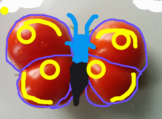 Pareidolia interpretation